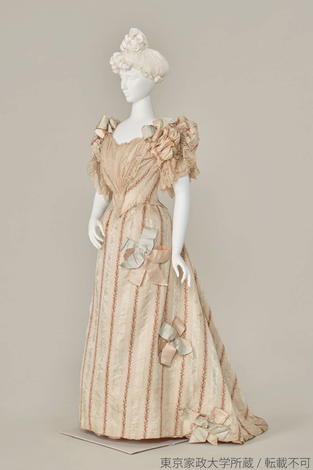 19 世紀 ヨーロッパ ドレス