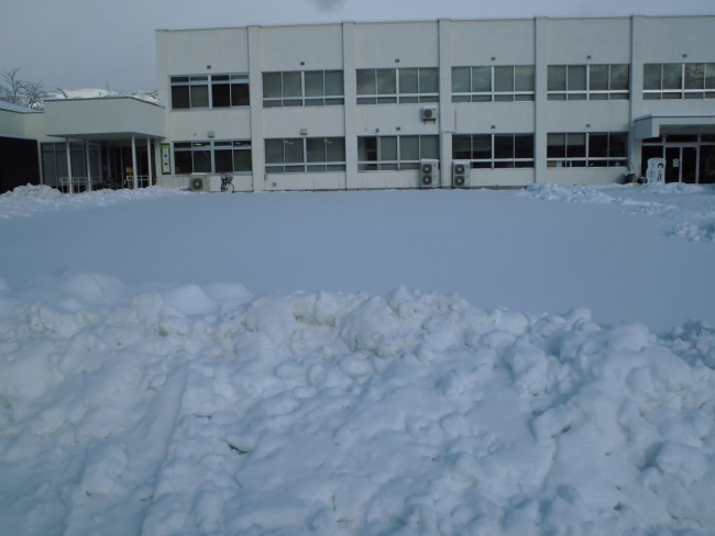 青々としていた前庭もあっという間に雪原に。